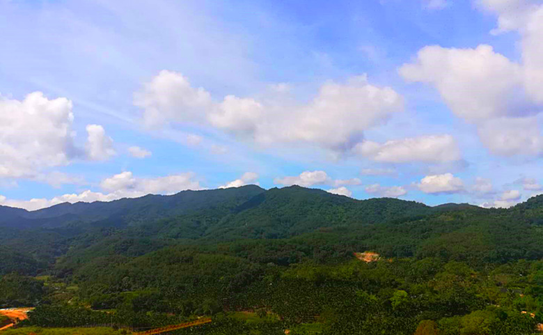 五指山天年汇养生基地